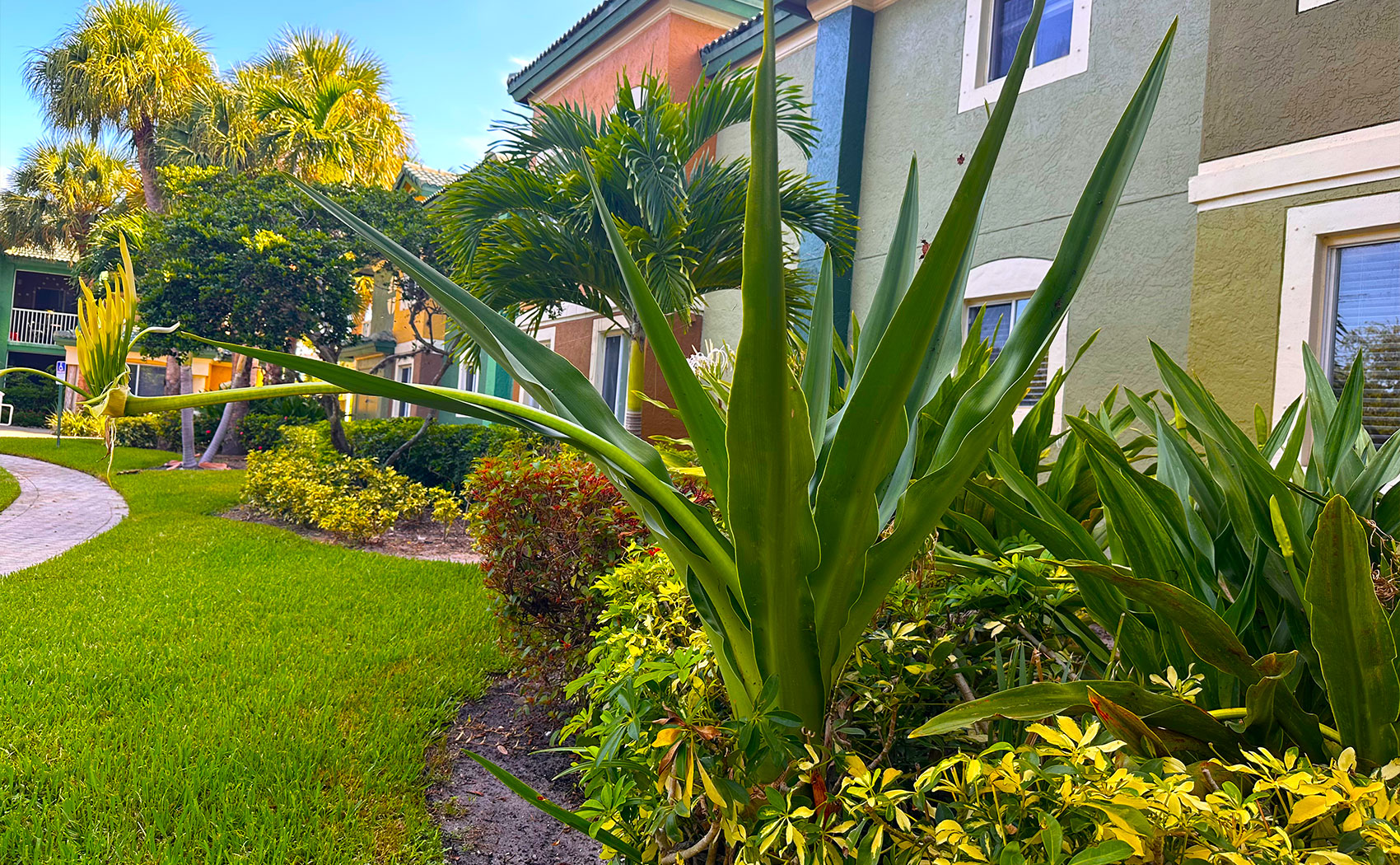 RG Landscaping Property Maintenance