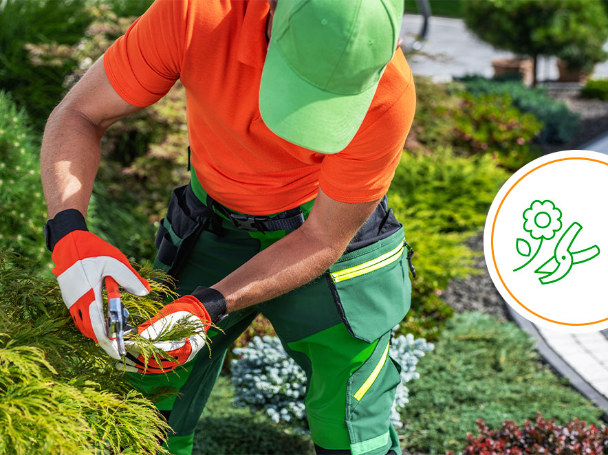 Landscaping Maintenance Services